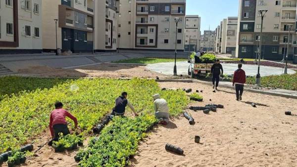 المهندس نادر زعفر:  جهاز 6 أكتوبر يواصل تنفيذ أعمال زراعة مغطيات التربة والصيانة 