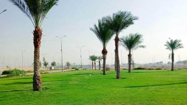 «الإسكان»: زراعة 48 ألف شجرة بمدينة سوهاج الجديدة