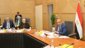 17,78 مليار جنيه حجم استثمارات الشركة القاضة للكهرباء في 2025